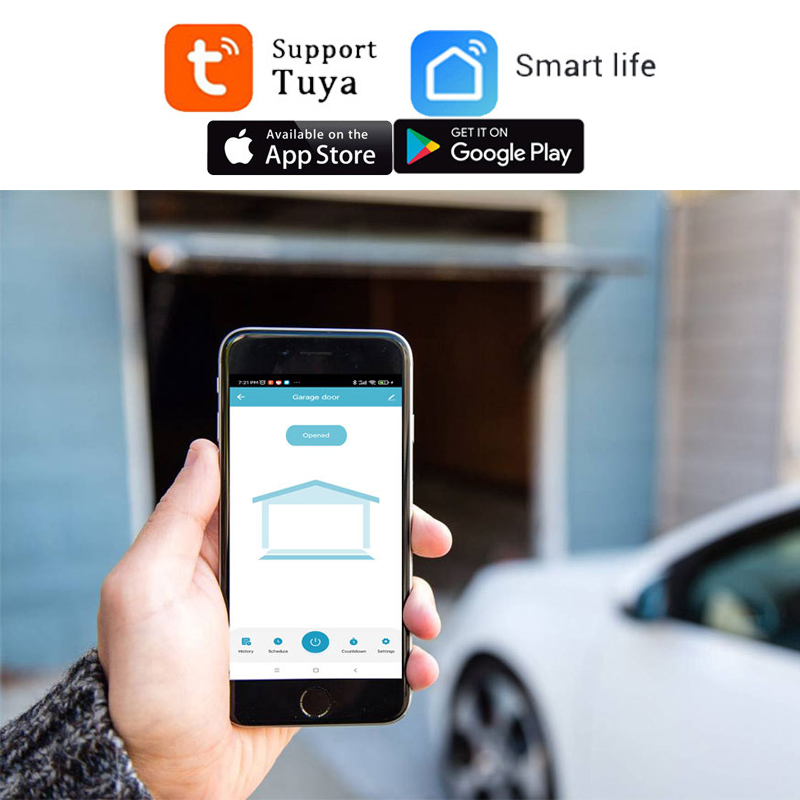 TUYA WIFI 2.4G Smart Garage Do - Smart Garage Door Opener ulasan dan harga